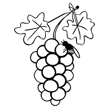 A fruit fly resting on a cluster of grapes that are hanging from a vine. The grapes are detailed with varying textures and sizes, showcasing their round shapes and glossy surface. The vine is depicted winding around, with leaves extending outward, creating a natural frame for the grapes. The scene highlights the contrast between the small fruit fly and the larger cluster of grapes.