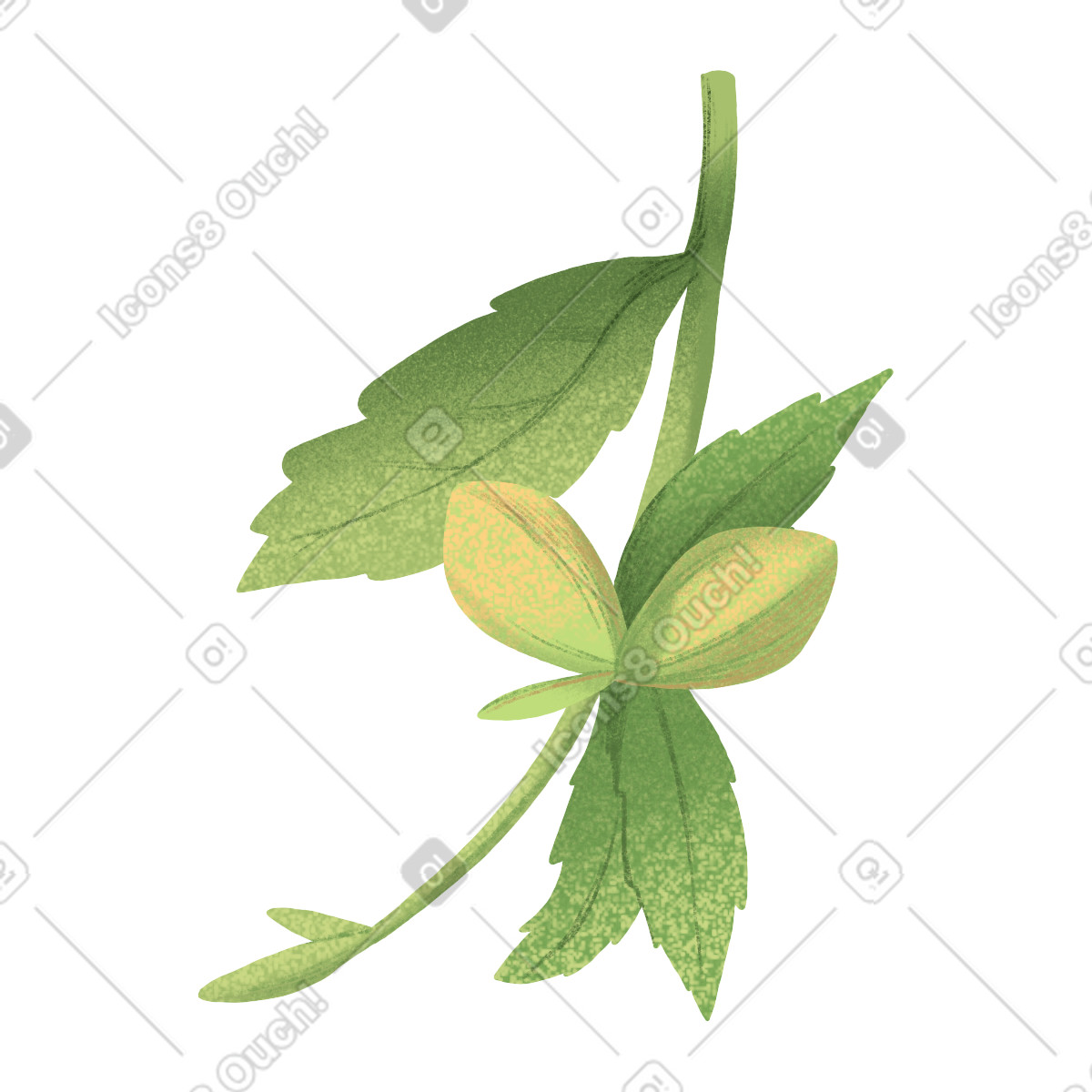 Green leaves with hibiscus buds illustration in Floral style download in PNG, SVG