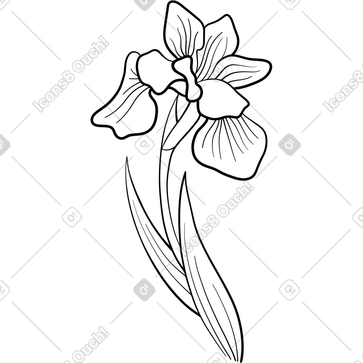 Iris illustrazione in stile Experimental scarica in PNG, SVG