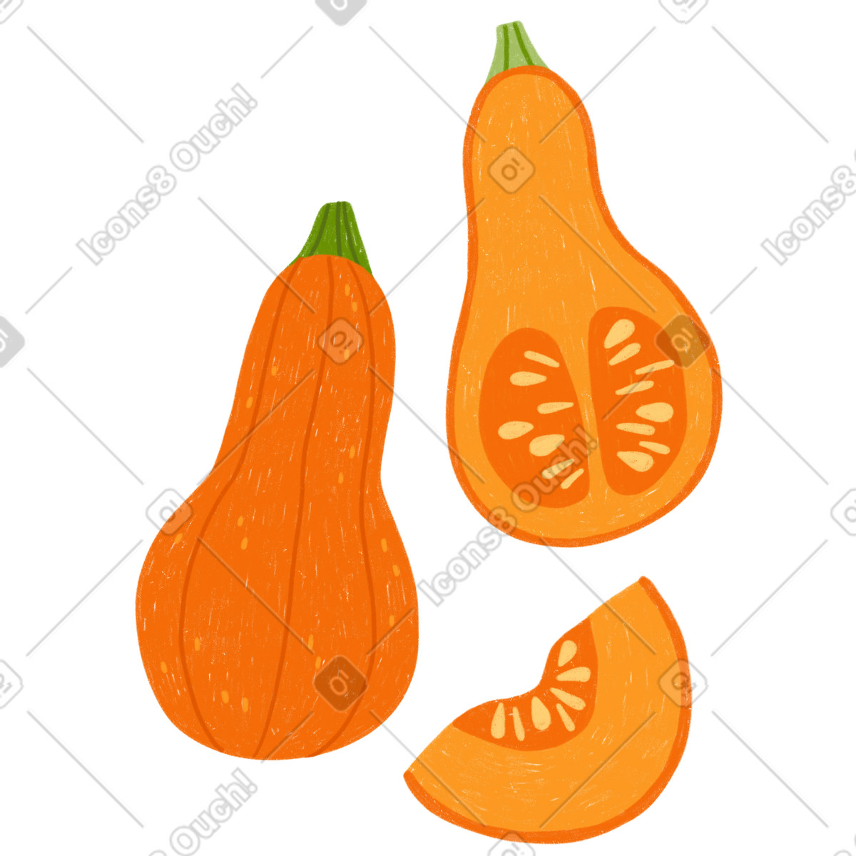 Ilustración Calabaza, media calabaza y trozo de calabaza. en estilo Cozy a descargar en PNG SVG