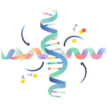 A large ribosome is shown in the center of the image, with distinct subunits depicted in shades of blue and green. The ribosome is surrounded by a vibrant strand of mRNA, which is illustrated with varying colors representing different nucleotide sequences. The mRNA is threaded through the ribosome, and small amino acids, represented by various colors like yellow, red, and purple, are shown being added to a growing polypeptide chain. Arrows indicate the direction of translation, and the overall composition conveys a dynamic interaction between the mRNA and ribosome.