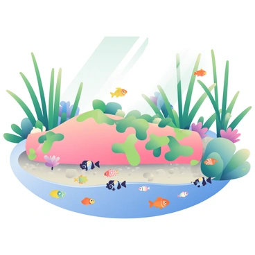 An underwater scene depicts a body in the process of decomposition in a tranquil pond. The body is partially covered with aquatic plants, with green leaves gently swaying in the water's current. Around the body, numerous small fish of various colors and patterns swim curiously, exploring the surroundings. The pond is filled with vibrant plant life, including tall reeds and colorful water lilies, which add to the rich biodiversity of the scene. Sunlight filters down through the water's surface, creating a dappled effect on the sandy bottom, while soft shadows play across the scene.