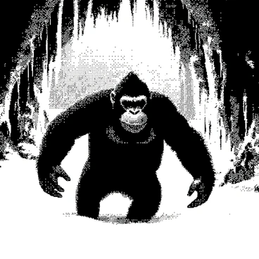 Donkey kong