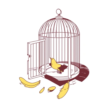 A white birdcage is positioned in the center of the image with its door wide open, indicating a sense of freedom. The cage is intricately designed with delicate patterns along the edges, and it stands on a wooden surface. Surrounding the cage, there are scattered feathers in various shades of yellow, suggesting a recent departure. Light streams from above, casting gentle shadows and highlighting the details of the cage.