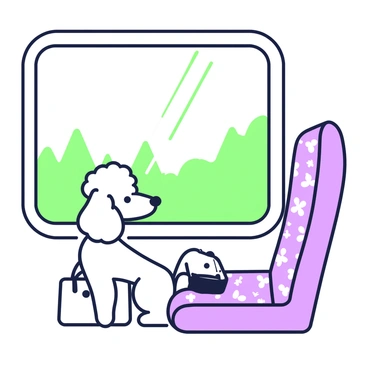 A poodle patiently sitting on a train seat gazing out the window