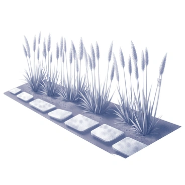 A row of tall ornamental grasses is positioned along a backyard path. The grasses are being staked into place with wooden or metal stakes for added stability. The path consists of natural stone or gravel leading through the area, bordered by soft earth and patches of mulch. The grasses sway gently in the breeze, each blade distinct, creating a lively texture against the backdrop of the pathway.