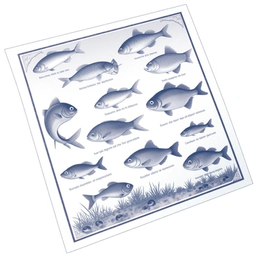 A page from an old catalog featuring illustrations of various fish species. The fish are meticulously drawn in a monochrome style, showcasing different shapes and sizes. Each fish is labeled with its name in clear, elegant font. The background includes decorative elements that evoke a vintage feel, such as ornate borders or small aquatic plants. The layout is organized, with fish arranged in a grid pattern, highlighting their distinct characteristics. Some fish are presented in profile view, while others are shown from above, providing a comprehensive view for aquarium enthusiasts.