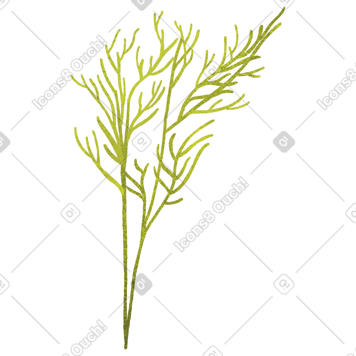 Small green twig with thin leaves illustration in Floral style download in PNG, SVG