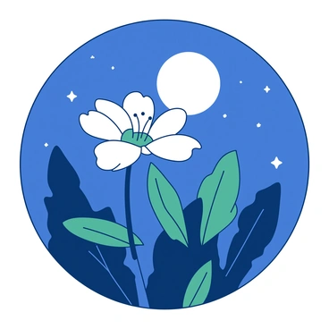 A white flower with delicate petals is blooming under a bright moon in the night sky. The moonlight casts a soft glow on the flower, highlighting its intricate details. In the background, there are dark green leaves surrounding the flower, creating a contrasting backdrop. The scene is calm and peaceful, with a few twinkling stars visible in the deep blue sky.