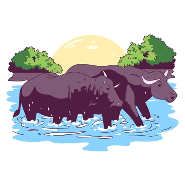 A group of water buffalo is splashing in the Ganges River, their bodies covered in droplets of water as they enjoy the coolness of the river. Two water buffalo are playfully nudging each other, creating ripples in the water. The sun casts a warm light on the scene, highlighting their dark, glistening fur. In the background, lush green vegetation frames the riverbanks, enhancing the natural setting. The water is a mixture of light and dark shades, reflecting the surroundings and the playful movements of the buffalo.