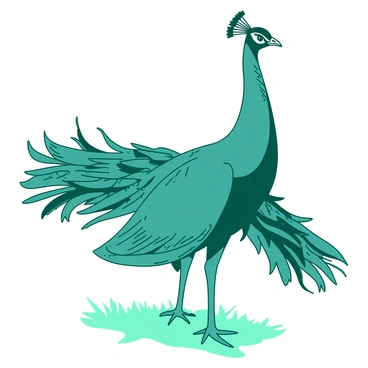 A teal peacock is standing proudly with its feathers fully displayed, showcasing an array of intricate patterns and vibrant colors. Its head is held high, and it has a confident expression, with bright eyes observing its surroundings. The feathers curve gracefully around the bird, creating a stunning fan shape that features a blend of hues. The ground beneath the peacock is a soft white grass, enhancing the vivid colors of its plumage.
