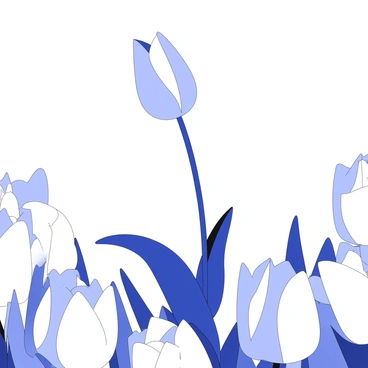 A single tulip is blooming in a field of tulips. The tulip stands out prominently in the composition, showcasing its distinct shape and details of its petals. The surrounding field is filled with tulips, each varying slightly in size and shape. The background features a gentle gradient of flowers, emphasizing the contrast between the solitary bloom and the cluster of others. The green stems and leaves of the tulips create a lush environment, adding depth to the scene.