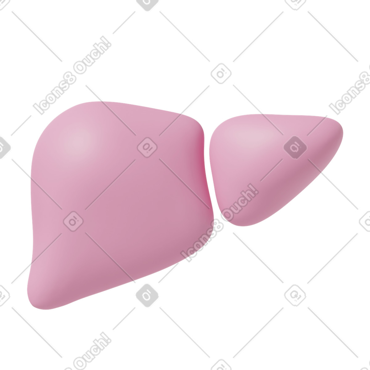 3D Casual life スタイルの Pink liver のイラストをPNG、SVG形式でダウンロード