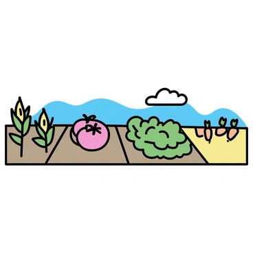 A wide field divided into four sections, each displaying a different type of crop. The first section features tall corn plants with green stalks and golden ears. The second section contains vibrant red tomatoes growing on sturdy vines. The third section is occupied by leafy green lettuce plants arranged in neat rows. The final section showcases bright orange carrots with their green tops peeking out of the soil. Above the field, a clear blue sky with a few fluffy white clouds is visible.