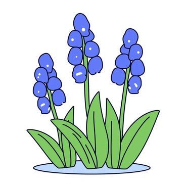 Larkspur