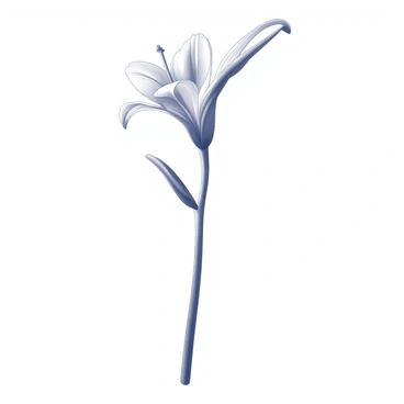 A single gladiolus flower in full bloom is depicted in the center of the image. The flower features long, slender petals that are elegantly arranged, showcasing their intricate texture and delicate curves. The stem is sturdy and upright, supporting the blossom with small leaves emerging along its length. The background is a simple white, providing a stark contrast that highlights the beauty and detail of the gladiolus flower.