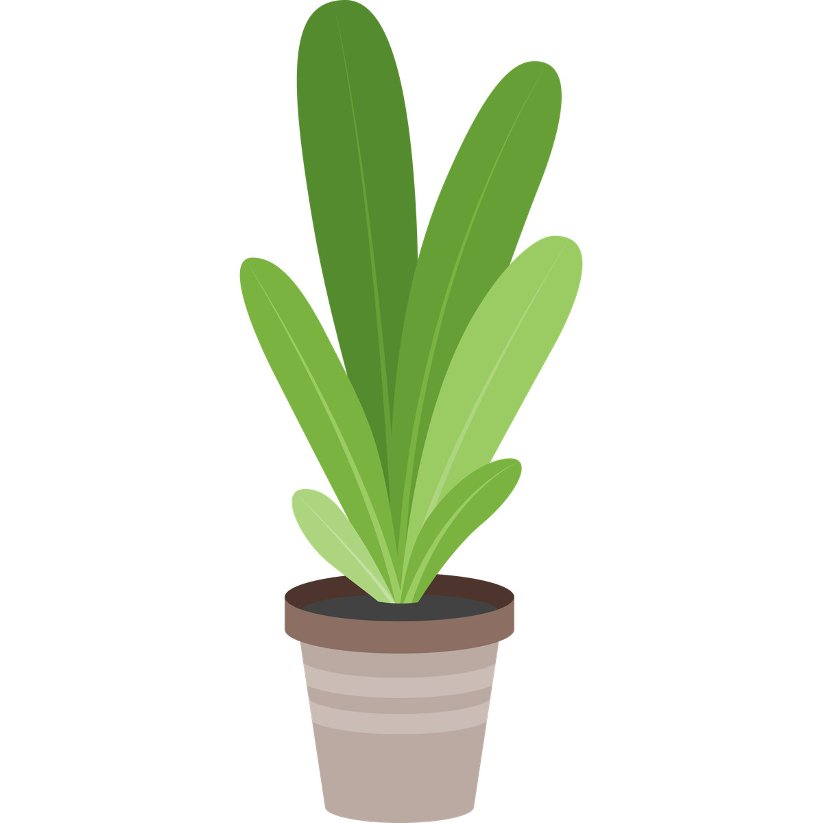 Houseplant with long leaves in brown ceramic pot-Illustration im Fogg-Stil als Download PNG, SVG