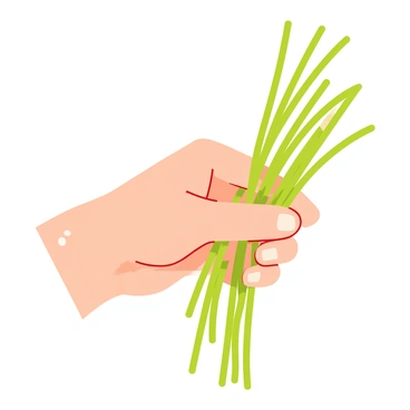 A human hand with lightly tanned skin is holding a small bunch of vibrant green chive stalks. The chives have a fresh, crisp appearance, with water droplets glistening on their surface. The background is softly blurred to emphasize the hand and the chives, while the focus remains sharp on the delicate details of the chive leaves. The fingers are gently curled around the stems, showcasing the texture and freshness of the herbs.
