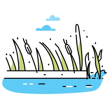 Tall rushes with slender green stems and feathery tops are swaying gently in the breeze. The rushes are lined along the banks of a river, their reflections shimmering on the water's surface. A clear blue sky is visible above, and the sunlight casts soft shadows on the ground where the rushes grow. The river flows calmly, creating a peaceful atmosphere in this natural setting.