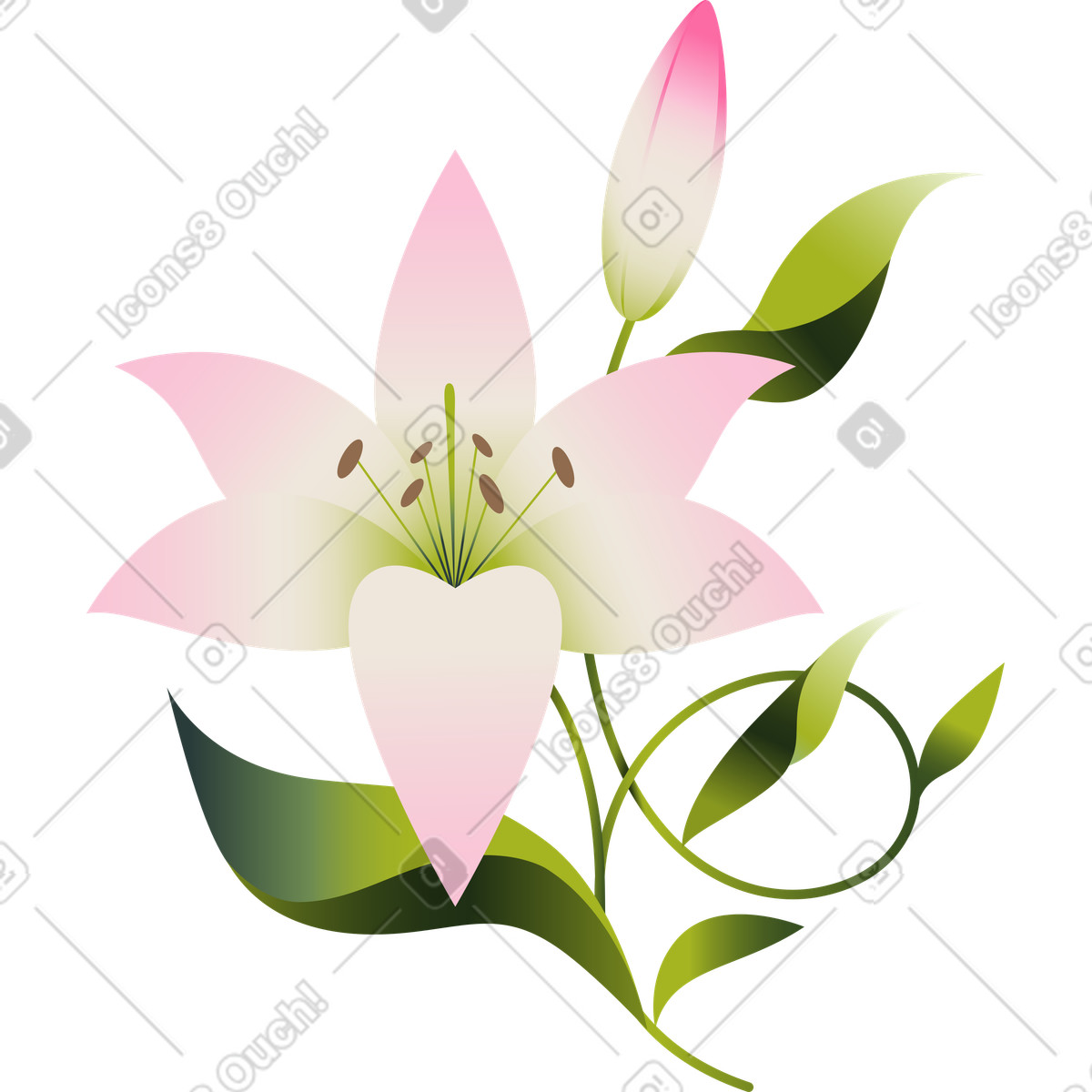 Blossom スタイルの 緑の茎につぼみが付いたピンクのユリ のイラストをPNG、SVG形式でダウンロード
