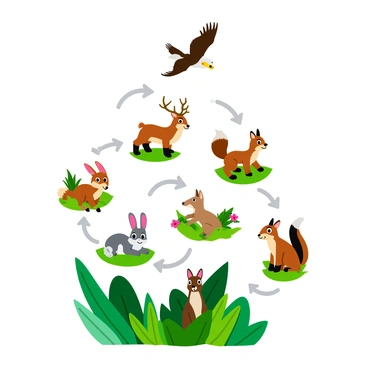 A vibrant illustration of a forest food chain, featuring various elements. At the bottom, there are green plants with broad leaves and colorful flowers, representing the producers. Above this, a group of herbivores such as a cute rabbit with fluffy fur, a deer with delicate antlers, and a squirrel with a bushy tail are depicted. They are surrounded by greenery, foraging for food. Higher up in the illustration, there are predators like a majestic fox with a bushy tail and sharp eyes, and a soaring eagle with outstretched wings, representing the top of the food chain. Arrows connect these elements, illustrating the flow of energy from plants to herbivores and then to predators. The overall composition is lively and dynamic, capturing the interconnectedness of the forest ecosystem.