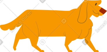 Labrador PNG, SVG