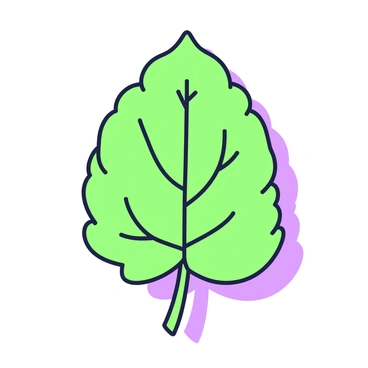 A close-up view of a single leaf. The leaf is prominently displayed in the center of the image, showcasing its intricate texture. The surface of the leaf is filled with fine details, highlighting the unique pattern of veins that run through it. The veins create a network, branching outwards from the center, and the edges of the leaf have a slight serration. The light casts subtle shadows, enhancing the depth of the texture and the veins, making them more pronounced.