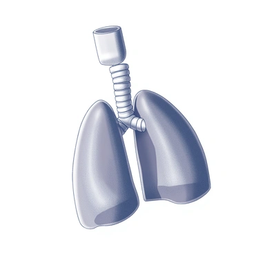 An illustration depicting the trachea during an asthma attack showing constriction