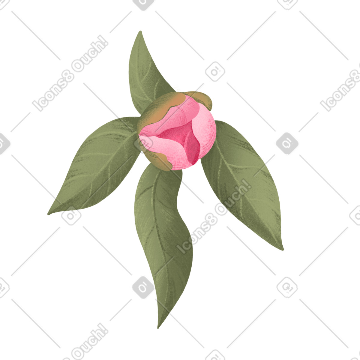 Small peony bud with leaves illustrazione in stile Floral scarica in PNG, SVG