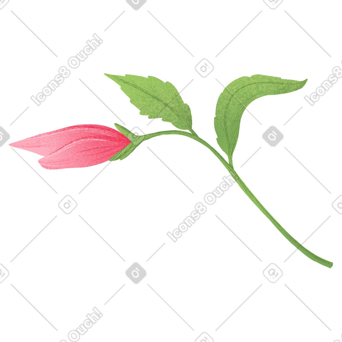 Hibiscus bud on a green stem with leaves illustration in Floral style download in PNG, SVG