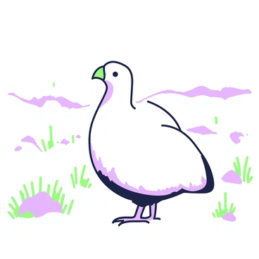 A ptarmigan stands still on the tundra, its body covered in white feathers. The bird's head is slightly tilted, showcasing its delicate features and beak. The surrounding landscape is a vast expanse of snow, contrasting with the subtle textures of the tundra's frozen ground. Sparse patches of grass and small rocks are visible, enhancing the scene. The ptarmigan's plumage seamlessly merges with the snowy environment, creating an almost invisible silhouette among the white backdrop. The sky above is clear and bright, complementing the serene atmosphere of the winter landscape.