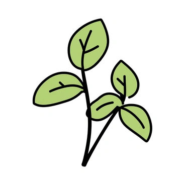 A hand-drawn illustration of "basil" with intricate details. The leaves are depicted with visible "veins" and a rich texture. The stems are slender and green, supporting the lush foliage. The overall composition includes a few leaves arranged naturally, emphasizing their shape and structure. The background is plain to highlight the intricate details of the basil plant.