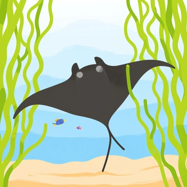 A manta ray with broad, flat wings gliding smoothly through a vibrant, dense kelp forest. The kelp is a rich green color, creating an intricate backdrop with long, flowing strands swaying gently in the water. Sunlight filters through the surface, casting dappled patterns on the sandy ocean floor. The manta ray's body is dark on top with lighter undersides, contrasting beautifully with the kelp and water. Small fish dart around the kelp, adding movement and life to the scene.