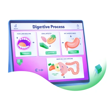 A storyboard panel showing an animation of the digestive process