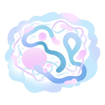 Depiction of connective tissues supporting the lymphatic system