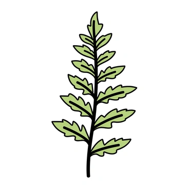 A close-up view of a single fern leaf, displaying its delicate fronds with intricate patterns and textures. The leaf is vibrant green, highlighting the fine veins that run through its surface. Each segment of the leaf exhibits unique shapes, creating a detailed and organic appearance. The background is plain and unadorned, allowing the fern leaf to stand out prominently.