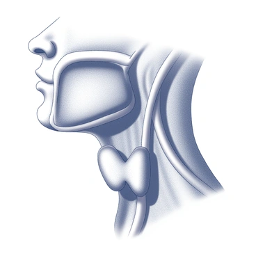 A detailed anatomical diagram featuring the human neck region. The diagram highlights the "thyroid gland" in a prominent position at the front of the neck, shaped like a butterfly. The gland is depicted with clear labels indicating its lobes and isthmus. Surrounding anatomical structures, such as the "trachea," "esophagus," and major blood vessels, are also illustrated for context. The diagram includes precise lines and annotations to show the relationship between the thyroid gland and nearby organs, emphasizing its position in the endocrine system.