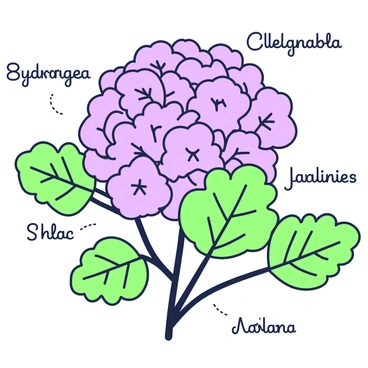 Vintage hydrangea