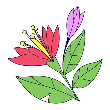 A close-up illustration of a single "grevillea flower" with delicate, elongated petals that are a vibrant shade of red. The petals curve outward, showcasing their fine texture and intricate patterns. The flower's long, slender stamens extend from the center, displaying bright yellow tips. Surrounding the bloom, lush green foliage with serrated edges provides a contrasting backdrop, highlighting the flower's vivid colors and intricate details.