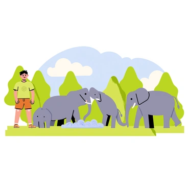 Maveli, a young boy wearing a simple green shirt and brown shorts, stands on a grassy patch observing a playful herd of elephants in the wild. The elephants are various shades of gray, their large ears flapping as they splash water around with their trunks. Some elephants are playfully rolling on the ground, while others are gently pushing each other, creating a lively scene. In the background, lush green trees and tall grass surround the area, with a bright blue sky above, dotted with a few fluffy white clouds.