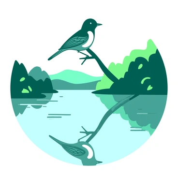 Tui