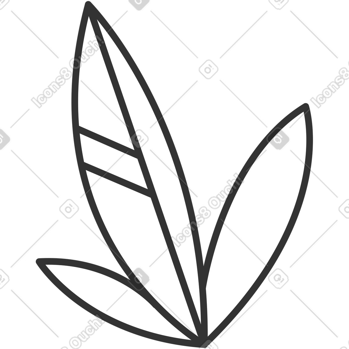 下载 Crayon 风格的 Three white leaves with black outline 插画，支持 PNG、SVG 格式