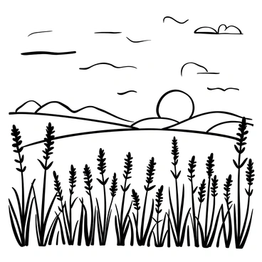 A vast field of lavender stretching across the foreground, with numerous tall lavender plants exhibiting elongated stems and clusters of blossoms. In the background, a large sun setting on the horizon, casting elongated shadows across the field. The sky above is filled with soft, swirling clouds, framing the sun as it descends. A few distant hills are visible, completing the scenic landscape.