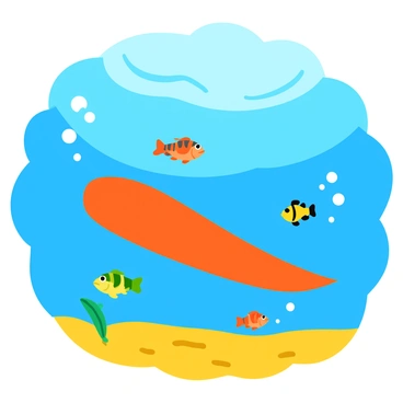 A unique perspective from beneath a kayak, showing fish swimming around