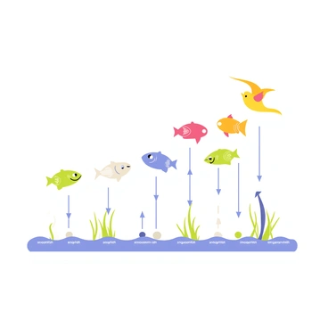 A food chain diagram featuring a light blue background. At the bottom of the diagram, there is a representation of "cyanobacteria" depicted as small, greenish-blue circular shapes with thin tendrils extending from them. Arising from the cyanobacteria, there are arrows pointing upward to show the progression in the food chain. Above the cyanobacteria, there are various aquatic organisms including "zooplankton," illustrated as tiny, translucent creatures. Further up the diagram, there are "small fish" shown as cartoonish, colorful fish swimming, and above them, there are "larger fish," depicted as larger, vibrant fish. At the top of the diagram, there is a depiction of a "bird" diving down towards the larger fish. Each organism is labeled with a bold, cartoon-style font for clarity.