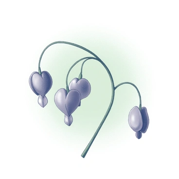 A cluster of "bleeding heart" flowers hanging delicately from a thin stem. The flowers are shaped like small hearts with pointed tips, arranged in a graceful arch. Each flower has a soft, rounded form, and their individual petals appear to dangle slightly. The thin stem supporting the flowers is slender and green. The background is filled with a gentle, soft green, providing a subtle, harmonious contrast to the delicate structure of the flowers.