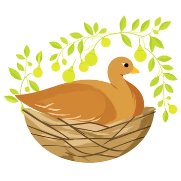 Partridge pear tree