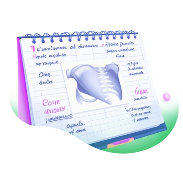 A student's notebook page featuring a detailed, hand-drawn illustration of a "scapula" positioned prominently in the center. The scapula is sketched with intricate lines to represent its anatomy. Surrounding the scapula, there are neatly written notes in a legible handwriting style describing its functions and related terminology. The background of the notebook page includes faint grid lines to mimic a typical lined notebook, adding to the academic feel of the scene.
