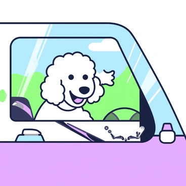 A labradoodle with curly fur is sitting in the passenger seat of a car with its head out of the window. The dog's ears are flapping in the wind, and it has a joyful expression on its face. The car's interior features a seatbelt and the dashboard is visible. The background shows a clear blue sky and a hint of green hills, indicating that the car is on a road trip. The sunlight casts a warm glow on the scene.