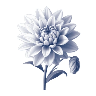 Vintage dahlia